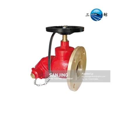 Van hạ cánh ướt loại mũi yếm